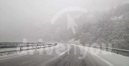 Fotografía de la pregunta 11