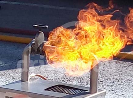 Fotografía de la pregunta 17