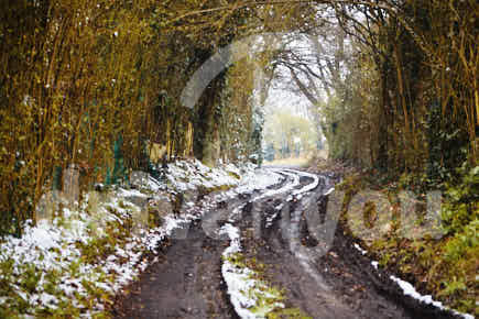 Fotografía de la pregunta 5